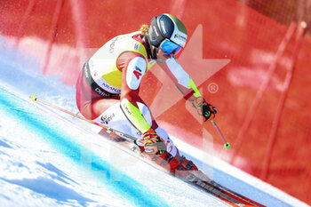 12/03/2023 - FELLER Manuel (AUT) - 2023 AUDI FIS SKI WORLD CUP - MEN'S GIANT SLALOM - SCI ALPINO - SPORT INVERNALI