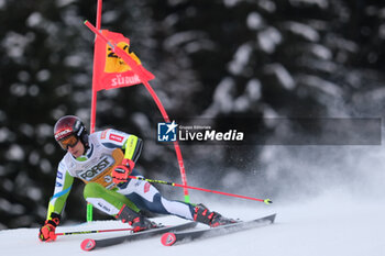 2023-12-17 - Zan Kranjec (SLO) competes during the Audi FIS Alpine Ski World Cup, Men’s Giant Slalom race on Gran Risa Slope, Alta Badia on December 17, 2023, La Villa, Bozen, Italy. - AUDI FIS SKI WORLD CUP - MEN'S GIANT SLALOM - ALPINE SKIING - WINTER SPORTS