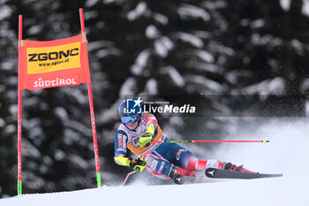 2023-12-17 - Filip Zubcic (CRO) competes during the Audi FIS Alpine Ski World Cup, Men’s Giant Slalom race on Gran Risa Slope, Alta Badia on December 17, 2023, La Villa, Bozen, Italy. - AUDI FIS SKI WORLD CUP - MEN'S GIANT SLALOM - ALPINE SKIING - WINTER SPORTS