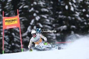 2023-12-17 - Alexander Schmid (GER) competes during the Audi FIS Alpine Ski World Cup, Men’s Giant Slalom race on Gran Risa Slope, Alta Badia on December 17, 2023, La Villa, Bozen, Italy. - AUDI FIS SKI WORLD CUP - MEN'S GIANT SLALOM - ALPINE SKIING - WINTER SPORTS