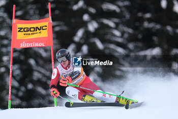 2023-12-17 - Raphael Haaser (AUT) competes during the Audi FIS Alpine Ski World Cup, Men’s Giant Slalom race on Gran Risa Slope, Alta Badia on December 17, 2023, La Villa, Bozen, Italy. - AUDI FIS SKI WORLD CUP - MEN'S GIANT SLALOM - ALPINE SKIING - WINTER SPORTS