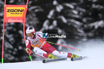 2023-12-17 - Stefan Brennsteiner (AUT) competes during the Audi FIS Alpine Ski World Cup, Men’s Giant Slalom race on Gran Risa Slope, Alta Badia on December 17, 2023, La Villa, Bozen, Italy. - AUDI FIS SKI WORLD CUP - MEN'S GIANT SLALOM - ALPINE SKIING - WINTER SPORTS