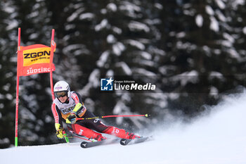 2023-12-17 - Erik Read (CAN) competes during the Audi FIS Alpine Ski World Cup, Men’s Giant Slalom race on Gran Risa Slope, Alta Badia on December 17, 2023, La Villa, Bozen, Italy. - AUDI FIS SKI WORLD CUP - MEN'S GIANT SLALOM - ALPINE SKIING - WINTER SPORTS