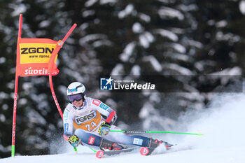 2023-12-17 - Alexander Steen Olsen (NOR) competes during the Audi FIS Alpine Ski World Cup, Men’s Giant Slalom race on Gran Risa Slope, Alta Badia on December 17, 2023, La Villa, Bozen, Italy. - AUDI FIS SKI WORLD CUP - MEN'S GIANT SLALOM - ALPINE SKIING - WINTER SPORTS
