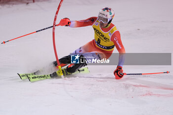 2023-12-22 - Daniel Yule (SUI) competes during the Audi FIS Alpine Ski World Cup, Men’s Slalom race on 3Tre Slope in Madonna di Campiglio on December 22, 2023, Trento, Italy. - AUDI FIS SKI WORLD CUP - MEN'S SLALOM - ALPINE SKIING - WINTER SPORTS