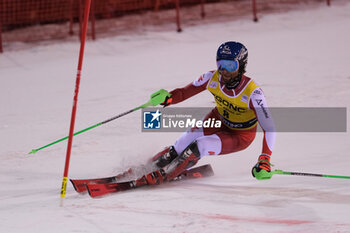 2023-12-22 - Marco Schwarz (AUT) competes during the Audi FIS Alpine Ski World Cup, Men’s Slalom race on 3Tre Slope in Madonna di Campiglio on December 22, 2023, Trento, Italy. - AUDI FIS SKI WORLD CUP - MEN'S SLALOM - ALPINE SKIING - WINTER SPORTS