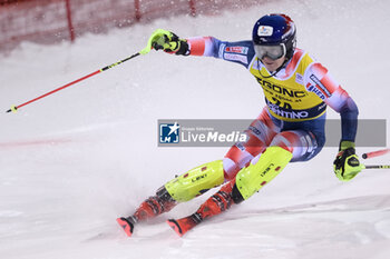 2023-12-22 - Filip Zubcic (CRO) competes during the Audi FIS Alpine Ski World Cup, Men’s Slalom race on 3Tre Slope in Madonna di Campiglio on December 22, 2023, Trento, Italy. - AUDI FIS SKI WORLD CUP - MEN'S SLALOM - ALPINE SKIING - WINTER SPORTS