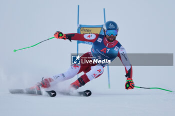 2023-10-29 - ALPINE SKIING - FIS WC 2023-2024
Men's World Cup GS
Image shows: SCHWARZ Marco (AUT) - WORLD CUP MEN'S GIANT SLALOM - ALPINE SKIING - WINTER SPORTS