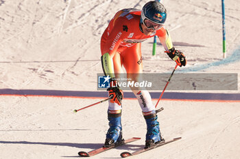 2023-12-17 - ALPINE SKIING - FIS WC 2023-2024
Men's World Cup GS1
La Villa, Alta Badia, Italy
2023-12-17 - Sunday
Image shows: ODERMATT Marco (SUI) FIRST CLASSIFIED







































 - AUDI FIS SKI WORLD CUP - MEN'S GIANT SLALOM - ALPINE SKIING - WINTER SPORTS
