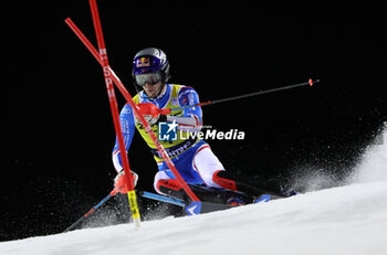 2023-12-22 - ALPINE SKIING - FIS WC 2023-2024
Men's World Cup Slalom
3 Tre Madonna di Campiglio, Italy
2023-12-22 - Friday
NOEL Clement FRA
 - AUDI FIS SKI WORLD CUP - MEN'S SLALOM - ALPINE SKIING - WINTER SPORTS