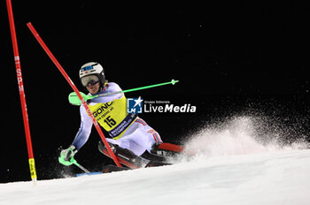 2023-12-22 - ALPINE SKIING - FIS WC 2023-2024
Men's World Cup Slalom
3 Tre Madonna di Campiglio, Italy
2023-12-22 - Friday
HAUGAN Timon (NOR)
 - AUDI FIS SKI WORLD CUP - MEN'S SLALOM - ALPINE SKIING - WINTER SPORTS