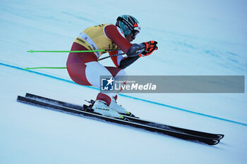2023-12-15 - ALPINE SKIING - FIS WC 2023-2024
Men's World Cup SG
Val Gardena / Groeden, Trentino, Italy
2023-12-15 - Friday
Image shows: KRIECHMAYR Vincent (AUT) FIRST CLASSIFIED - AUDI SKI FIS WORLD CUP - MEN'S SUPERG - ALPINE SKIING - WINTER SPORTS