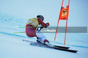 2023-12-15 - ALPINE SKIING - FIS WC 2023-2024
Men's World Cup SG
Val Gardena / Groeden, Trentino, Italy
2023-12-15 - Friday
Image shows: KRIECHMAYR Vincent (AUT) FIRST CLASSIFIED - AUDI SKI FIS WORLD CUP - MEN'S SUPERG - ALPINE SKIING - WINTER SPORTS