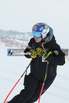 2023-11-19 - ALPINE SKIING - FIS WC 2023-2024
Zermatt - Cervinia (SUI) - Women's Downhill Second Race
Image shows: Ester Ledecká - RACE CANCELLED FOR STRONG WIND - ALPINE SKIING - AUDI SKI FIS WORLD CUP - WOMEN'S DOWNHILL - ALPINE SKIING - WINTER SPORTS