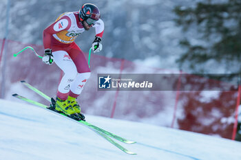 2023-12-16 - ALPINE SKIING - FIS WC 2023-2024 Men's World Cup Downhill Image shows: Hemetsberger Daniel (AUT) - FIS WORLD CUP - MEN'S DOWNHILL - ALPINE SKIING - WINTER SPORTS