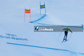 2023-12-15 - ALPINE SKIING - FIS WC 2023-2024 Men's World Cup Super G Image shows: Feurstein Lukas (AUT) - FIS WORLD CUP - MEN'S SUPER-G - ALPINE SKIING - WINTER SPORTS