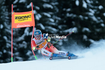 2023-12-17 - ALPINE SKIING - FIS WC 2023-2024 Men's World Cup Giant Slalom Image shows: Odermatt Marco (SUI) 1st classified - AUDI FIS SKI WORLD CUP - MEN'S GIANT SLALOM - ALPINE SKIING - WINTER SPORTS