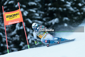 2023-12-17 - ALPINE SKIING - FIS WC 2023-2024 Men's World Cup Giant Slalom Image shows: Windingstad Rasmus (NOR) - AUDI FIS SKI WORLD CUP - MEN'S GIANT SLALOM - ALPINE SKIING - WINTER SPORTS