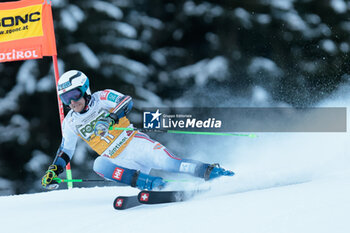 2023-12-17 - ALPINE SKIING - FIS WC 2023-2024 Men's World Cup Giant Slalom Image shows: Windingstad Rasmus (NOR) - AUDI FIS SKI WORLD CUP - MEN'S GIANT SLALOM - ALPINE SKIING - WINTER SPORTS