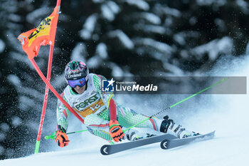 2023-12-17 - ALPINE SKIING - FIS WC 2023-2024 Men's World Cup Giant Slalom Image shows: Verdu Joan (AND) - AUDI FIS SKI WORLD CUP - MEN'S GIANT SLALOM - ALPINE SKIING - WINTER SPORTS