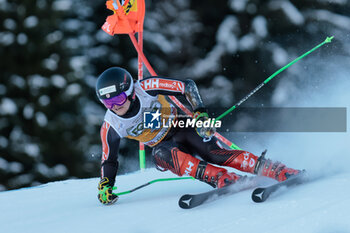 2023-12-17 - ALPINE SKIING - FIS WC 2023-2024 Men's World Cup Giant Slalom Image shows: Jordan Asher (CAN) - AUDI FIS SKI WORLD CUP - MEN'S GIANT SLALOM - ALPINE SKIING - WINTER SPORTS