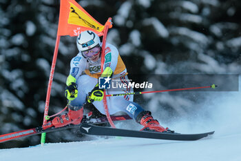 2023-12-17 - ALPINE SKIING - FIS WC 2023-2024 Men's World Cup Giant Slalom Image shows: Kindem Kaspar (NOR) - AUDI FIS SKI WORLD CUP - MEN'S GIANT SLALOM - ALPINE SKIING - WINTER SPORTS