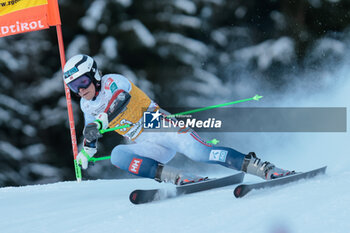 2023-12-17 - ALPINE SKIING - FIS WC 2023-2024 Men's World Cup Giant Slalom Image shows: Haugan Timon (NOR) - AUDI FIS SKI WORLD CUP - MEN'S GIANT SLALOM - ALPINE SKIING - WINTER SPORTS