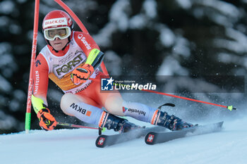 2023-12-17 - ALPINE SKIING - FIS WC 2023-2024 Men's World Cup Giant Slalom Image shows: Zurbruegg Sandro (SUI) - AUDI FIS SKI WORLD CUP - MEN'S GIANT SLALOM - ALPINE SKIING - WINTER SPORTS