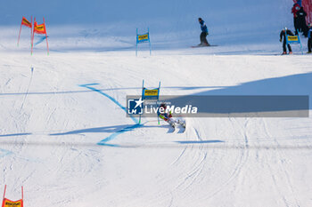 2023-12-17 - ALPINE SKIING - FIS WC 2023-2024 Men's World Cup Giant Slalom Image shows: Faivre Mathieu (FRA) - AUDI FIS SKI WORLD CUP - MEN'S GIANT SLALOM - ALPINE SKIING - WINTER SPORTS