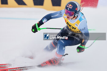 2023-12-08 - ALPINE SKIING - FIS WC 2023-2024
Women's World Cup SG
Image shows: GOGGIA Sofia (ITA) - FIRST CLASSIFIED


 - FIS-ALPINE SKIING-WORLD CUP-WOMEN-SUPERG - ALPINE SKIING - WINTER SPORTS
