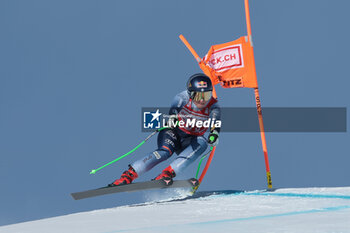 2023-12-09 - ALPINE SKIING - FIS WC 2023-2024
Women's World Cup DH
Image shows: GOGGIA Sofia (ITA) - SECOND CLASSIFIED - FIS-ALPINE SKIING-WORLD CUP-WOMEN-DOWNHILL - ALPINE SKIING - WINTER SPORTS