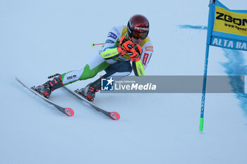 2023-12-18 - ALPINE SKIING - FIS WC 2023-2024
Men's World Cup GS2
La Villa, Alta Badia, Italy
2023-12-18 - Monday
Image shows: KRANJEC Zan (SLO) first run - 4th CLASSIFIED












































 - AUDI FIS SKI WORLD CUP - MEN'S GIANT SLALOM - ALPINE SKIING - WINTER SPORTS