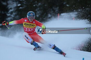 2023-12-18 - ALPINE SKIING - FIS WC 2023-2024 Men's World Cup GS2 La Villa, Alta Badia, Italy 2023-12-18 - Monday Image shows: ODERMATT Marco (SUI) FIRST CLASSIFIED - AUDI FIS SKI WORLD CUP - MEN'S GIANT SLALOM - ALPINE SKIING - WINTER SPORTS