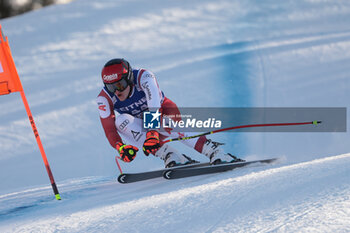 2023-12-14 - ALPINE SKIING - FIS WC 2023-2024
Men's World Cup DH
Image shows: BABINSKY Stefan (AUT) - 6th CLASSIFIED

























 - AUDI FIS SKI WORLD CUP - MEN'S DOWNHILL - ALPINE SKIING - WINTER SPORTS