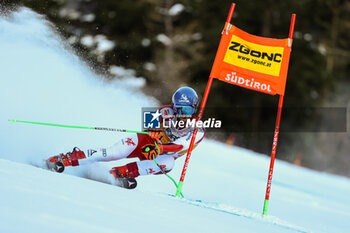 2023-12-17 - SCHWARZ Marco (AUT) - AUDI FIS SKI WORLD CUP - MEN'S GIANT SLALOM - ALPINE SKIING - WINTER SPORTS