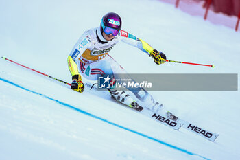 2023-12-17 - McGRATH Atle Lie (NOR) - AUDI FIS SKI WORLD CUP - MEN'S GIANT SLALOM - ALPINE SKIING - WINTER SPORTS