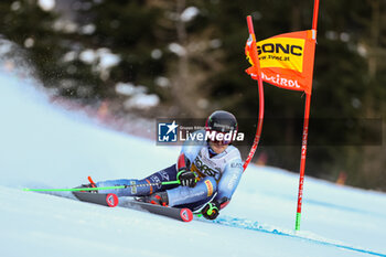 2023-12-17 - BORSOTTI Giovanni (ITA) - AUDI FIS SKI WORLD CUP - MEN'S GIANT SLALOM - ALPINE SKIING - WINTER SPORTS