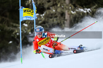 2023-12-18 - ODERMATT Marco (SUI) - AUDI FIS SKI WORLD CUP - MEN'S GIANT SLALOM - ALPINE SKIING - WINTER SPORTS