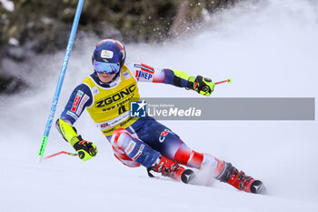 2023-12-18 - ZUBCIC Filip (CRO) - AUDI FIS SKI WORLD CUP - MEN'S GIANT SLALOM - ALPINE SKIING - WINTER SPORTS