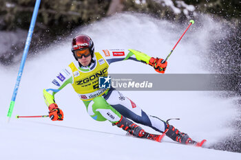 2023-12-18 - KRANJEC Zan (SLO) - AUDI FIS SKI WORLD CUP - MEN'S GIANT SLALOM - ALPINE SKIING - WINTER SPORTS