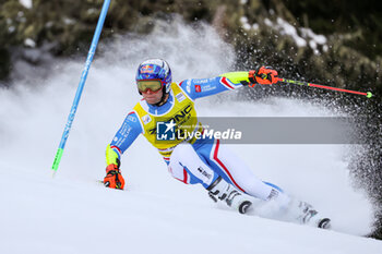 2023-12-18 - PINTURAULT Alexis (FRA) - AUDI FIS SKI WORLD CUP - MEN'S GIANT SLALOM - ALPINE SKIING - WINTER SPORTS