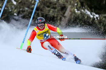 2023-12-18 - CAVIEZEL Gino (SUI) - AUDI FIS SKI WORLD CUP - MEN'S GIANT SLALOM - ALPINE SKIING - WINTER SPORTS