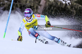 2023-12-18 - McGRATH Atle Lie (NOR) - AUDI FIS SKI WORLD CUP - MEN'S GIANT SLALOM - ALPINE SKIING - WINTER SPORTS