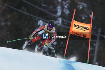 2023-12-28 - ALPINE SKIING - FIS WC 2023-2024
Men's World Cup DH
Bormio, Lombardia, Italy
2023-12-28 - Thursday
Image shows: ALEXANDER Cameron (CAN) 3rd CLASSIFIED











































 - AUDI FIS SKI WORLD CUP - MEN'S DOWNHILL - ALPINE SKIING - WINTER SPORTS