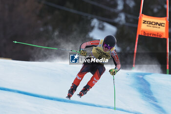 2023-12-28 - ALPINE SKIING - FIS WC 2023-2024
Men's World Cup DH
Bormio, Lombardia, Italy
2023-12-28 - Thursday
Image shows: ALEXANDER Cameron (CAN) 3rd CLASSIFIED











































 - AUDI FIS SKI WORLD CUP - MEN'S DOWNHILL - ALPINE SKIING - WINTER SPORTS