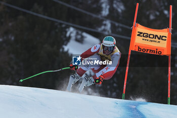 2023-12-28 - ALPINE SKIING - FIS WC 2023-2024
Men's World Cup DH
Bormio, Lombardia, Italy
2023-12-28 - Thursday
Image shows: KRIECHMAYR Vincent (AUT) 5th CLASSIFIED













































 - AUDI FIS SKI WORLD CUP - MEN'S DOWNHILL - ALPINE SKIING - WINTER SPORTS