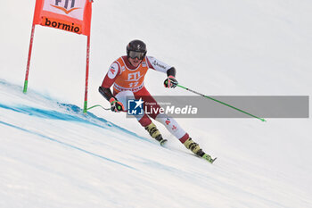 2023-12-29 - ALPINE SKIING - FIS WC 2023-2024
Men's World Cup SG
Bormio, Lombardia, Italy
2023-12-29 - Friday
Image shows: HAASER Raphael (AUT) SECOND 













































 - AUDI FIS SKI WORLD CUP - MEN'S SUPERG - ALPINE SKIING - WINTER SPORTS