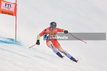 29/12/2023 - ALPINE SKIING - FIS WC 2023-2024
Men's World Cup SG
Bormio, Lombardia, Italy
2023-12-29 - Friday
Image shows: ODERMATT Marco (SUI) FIRST CLASSIFIED













































 - AUDI FIS SKI WORLD CUP - MEN'S SUPERG - SCI ALPINO - SPORT INVERNALI