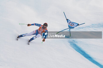 2023-12-29 - ALPINE SKIING - FIS WC 2023-2024
Men's World Cup SG
Bormio, Lombardia, Italy
2023-12-29 - Friday
Image shows: ALLEGRE Nils (FRA) 7th CLASSIFIED


















































 - AUDI FIS SKI WORLD CUP - MEN'S SUPERG - ALPINE SKIING - WINTER SPORTS