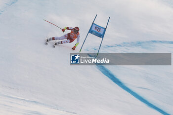 29/12/2023 - ALPINE SKIING - FIS WC 2023-2024
Men's World Cup SG
Bormio, Lombardia, Italy
2023-12-29 - Friday
Image shows: BABINSKY Stefan (AUT) 6th CLASSIFIED



















































 - AUDI FIS SKI WORLD CUP - MEN'S SUPERG - SCI ALPINO - SPORT INVERNALI